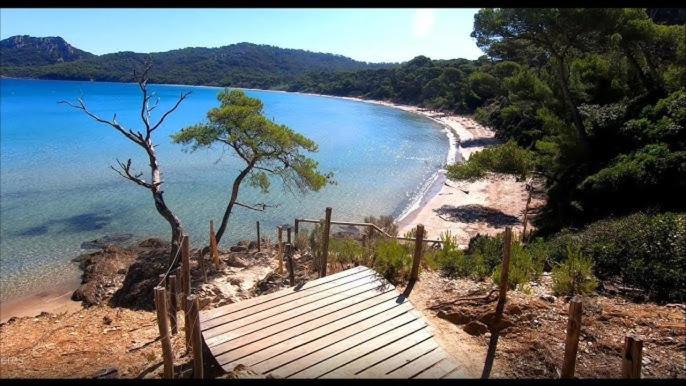 Superbe Rez-De-Villa 6P Calme & Plage A Pied Le Pradet Bagian luar foto