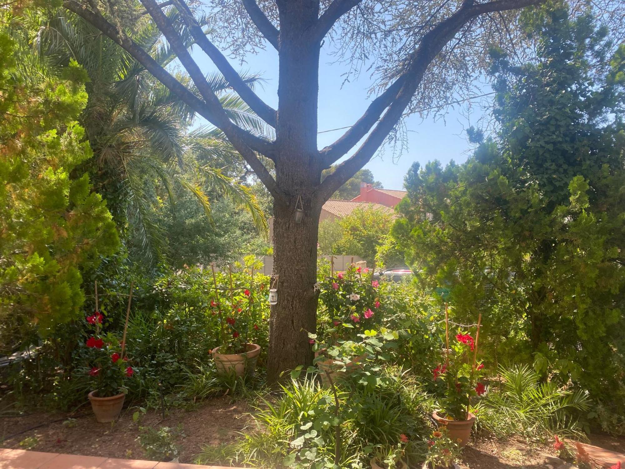 Superbe Rez-De-Villa 6P Calme & Plage A Pied Le Pradet Bagian luar foto